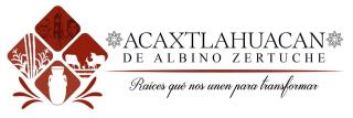 H. Ayuntamiento de Albino Zertuche